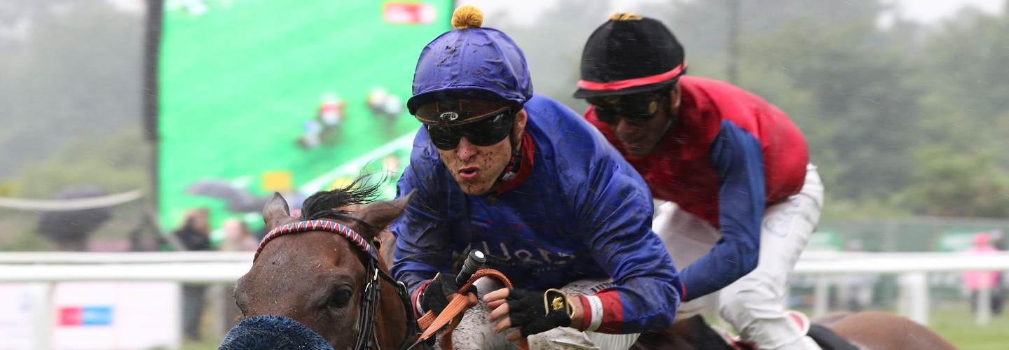 Assistent gewinnt den Großen Hansa-Preis