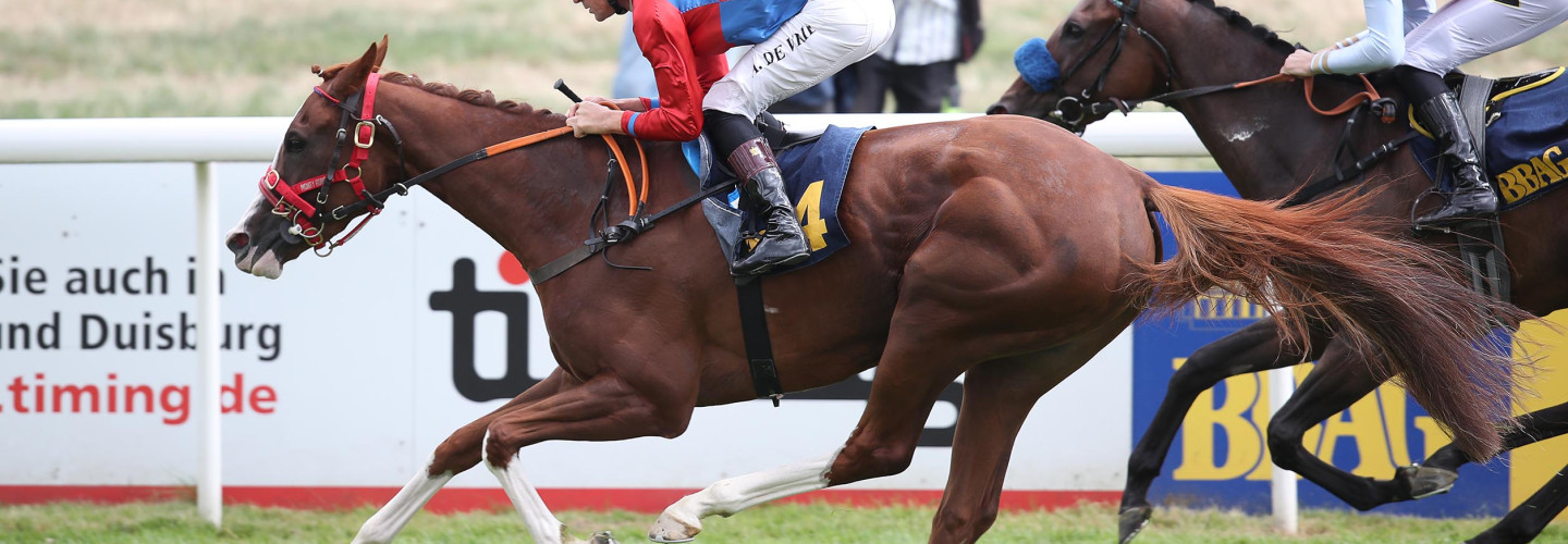 Extrabunt gewinnt BBAG Diana-Trial