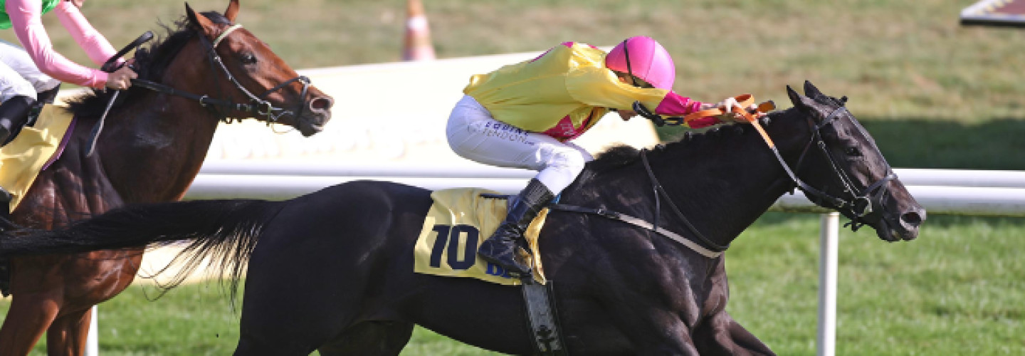 Wikinger gewinnt in Iffezheim