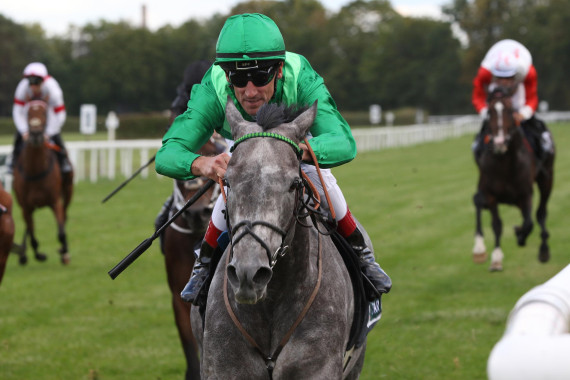 Roman Mist gewinnt mit Andrasch Starke in Dresden