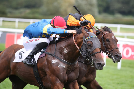 Zerostress gewinnt die Goldene Peitsche