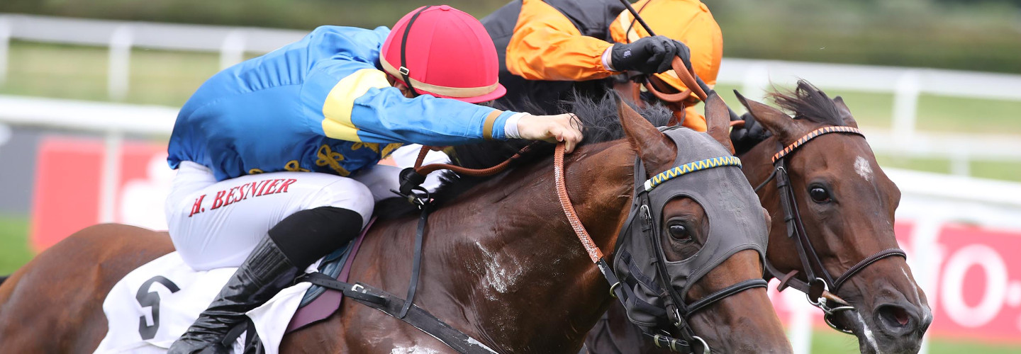 Zerostress gewinnt die Goldene Peitsche