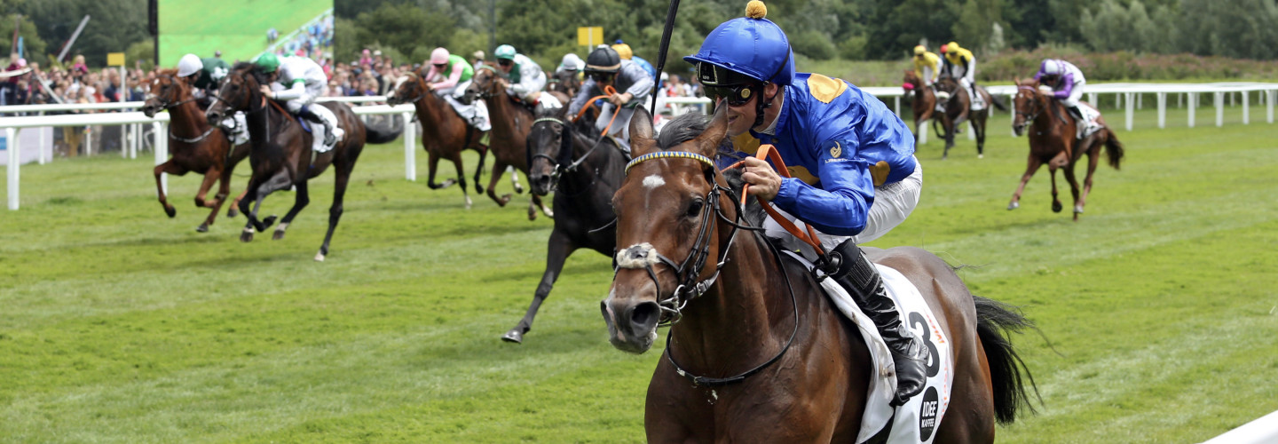 Fatastic Moon gewinnt das Deutsche Derby