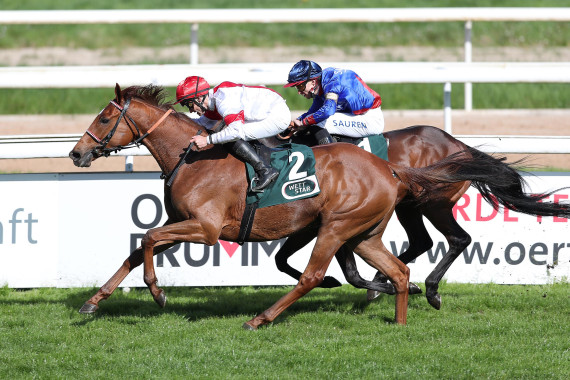 Lordano gewinnt gegen Assistent