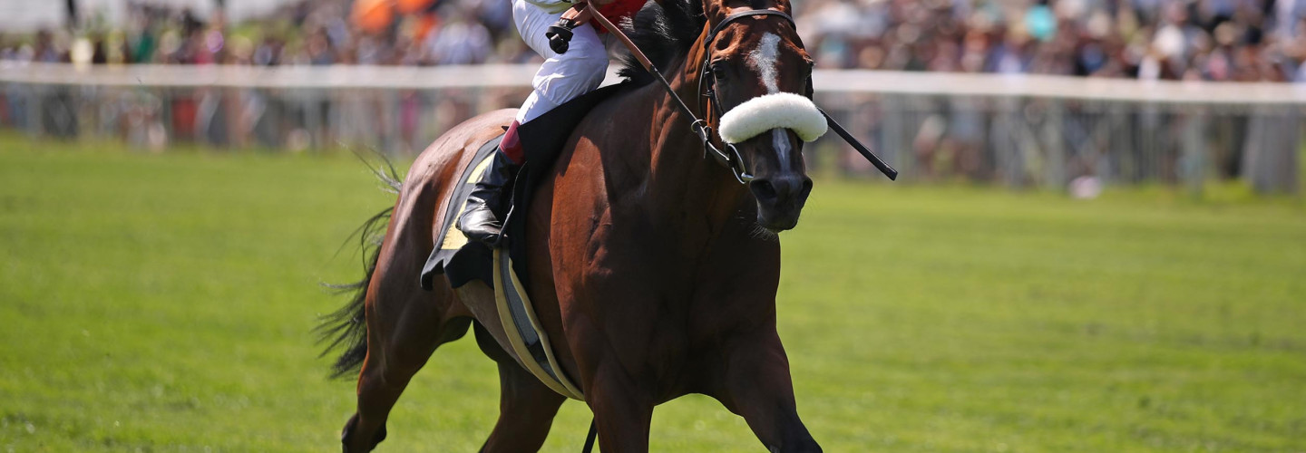 India bei ihrem Vorjahressieg im Fürstenberg-Rennen