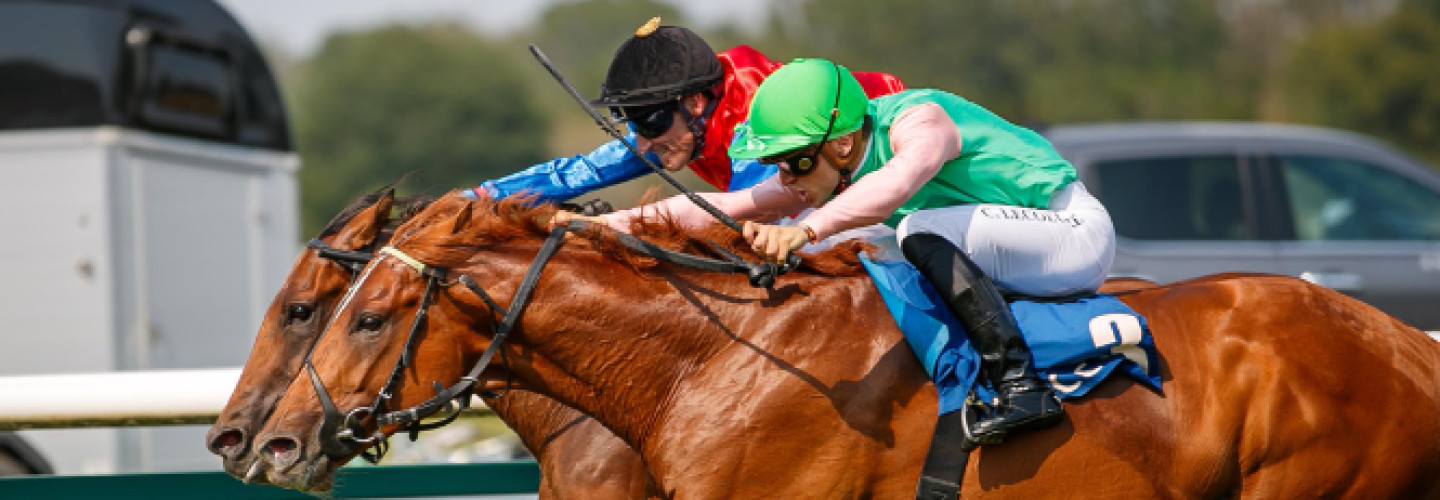 Bukhara gewinnt nach Zielfoto gegen Aemilianus