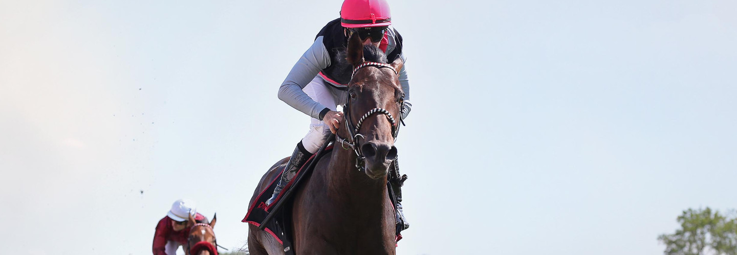 Derbyfavorit Straight bei seinem Sieg im Union-Rennen in Köln