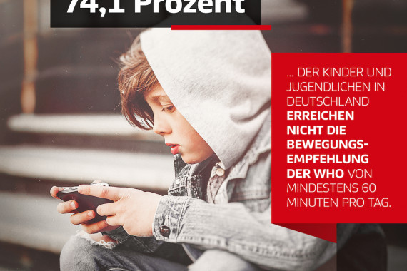 dfl stiftung grafik 1