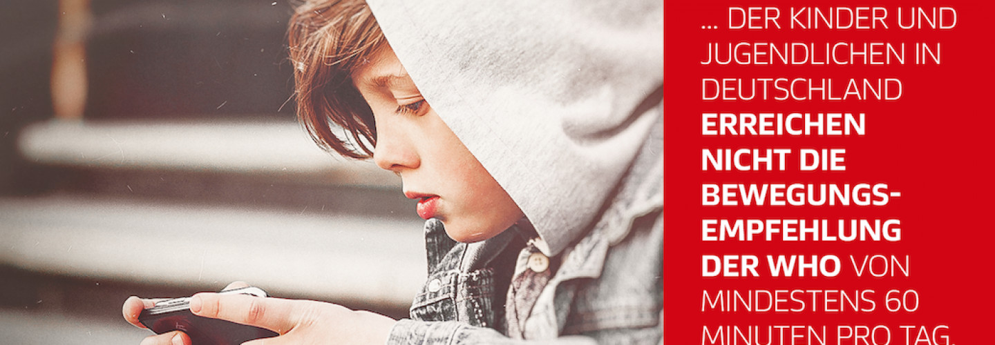 dfl stiftung grafik 1