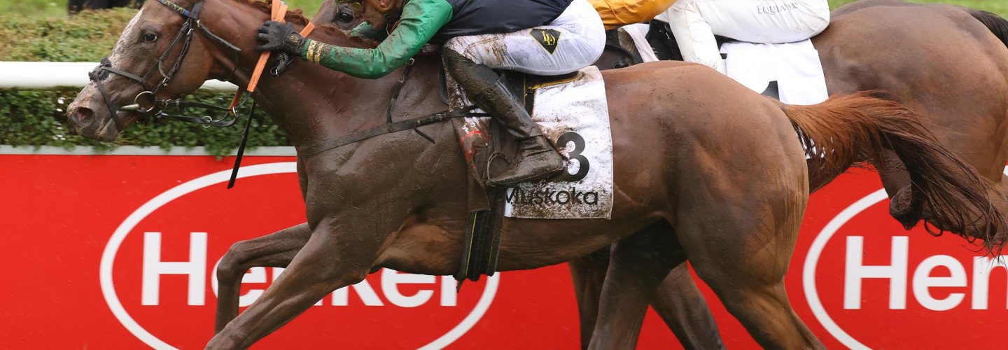 Muskoka gewinnt Henkel Preis der Diana