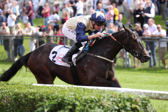 Darnation gewinnt in Düsseldorf