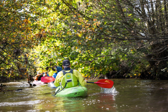 "NRW - Wir machen das!": LSB NRW unterstützt Bündnis für die Wiederherstellung der Natur.