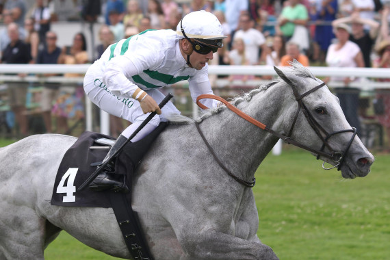 Alpenblume gewinnt in Hamburg