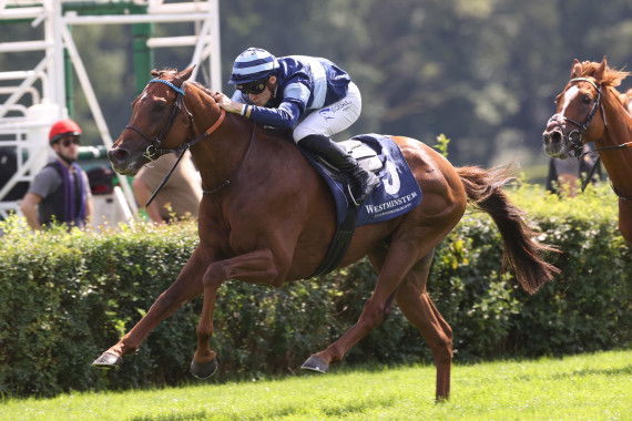 Simca Mille gewinnt den 133. Großen Preis von Berlin