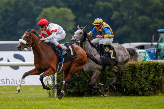 India wird als Erste disqualifiziert - die Schimmelstute Kolossal wird zur Siegerin erklärt