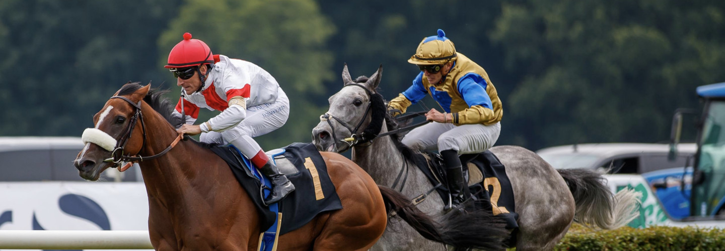 India wird als Erste disqualifiziert - die Schimmelstute Kolossal wird zur Siegerin erklärt