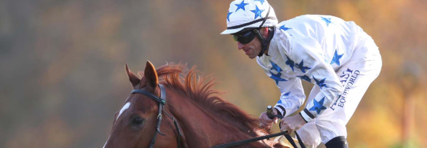 Wonderful Boy unter Andrasch Starke