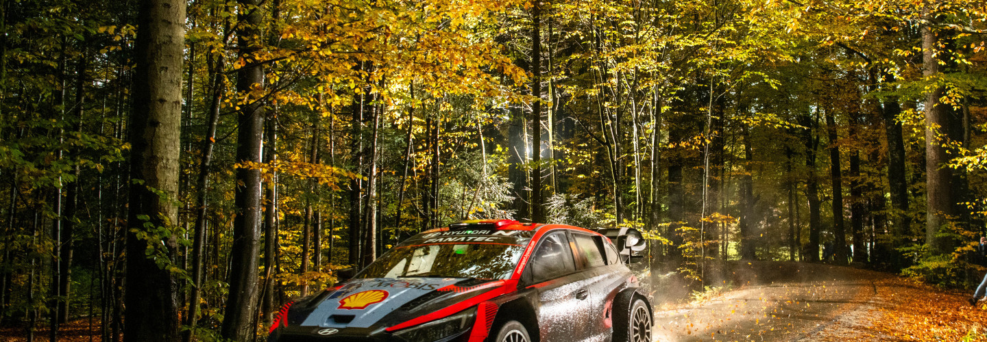 Vorjahressieger Neuville zählt auch 2024 zu den Favoriten